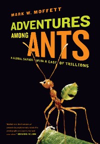 Cover Adventures among Ants