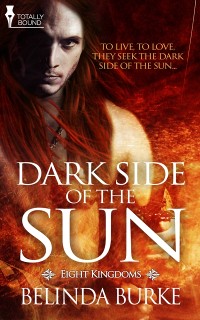 Cover Dark Side of the Sun