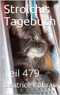 Cover Strolchis Tagebuch - Teil 479