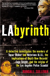 Cover LAbyrinth
