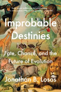 Cover Improbable Destinies