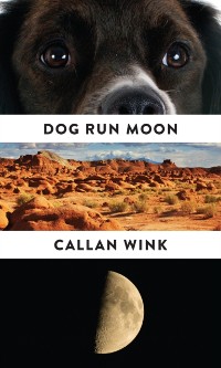 Cover Dog Run Moon