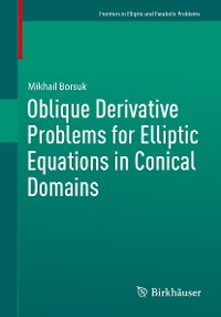 Cover Oblique Derivative Problems for Elliptic Equations in Conical Domains