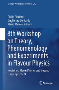 Cover 8th Workshop on Theory, Phenomenology and Experiments in Flavour Physics