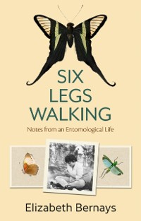 Cover Six Legs Walking : Notes from an Entomological Life