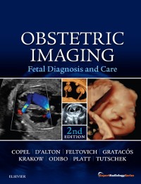 Cover Obstetric Imaging: Fetal Diagnosis and Care E-Book