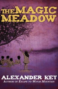 Cover Magic Meadow