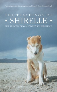 Cover Teachings of Shirelle