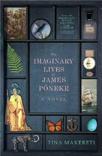 Cover The Imaginary Lives of James Poneke