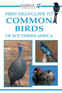 Cover Sasol First Field Guide to Common Birds of Southern Africa