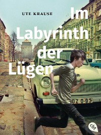Cover Im Labyrinth der Lügen