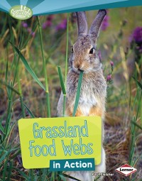 Cover Grassland Food Webs in Action