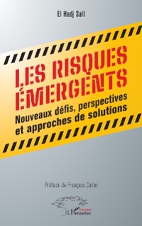 Cover Les risques emergents