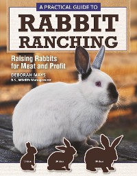 Cover A Practical Guide to Rabbit Ranching