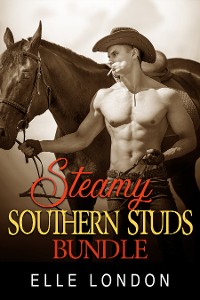 Cover Steamy Southern Studs Bundle