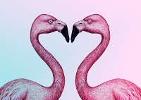 Cover Making Love - Wie Beziehungen funktionieren