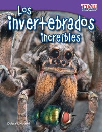 Cover invertebrados increibles