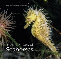 Cover In the Company of Seahorses