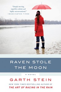 Cover Raven Stole the Moon