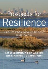 Cover Prospects for Resilience