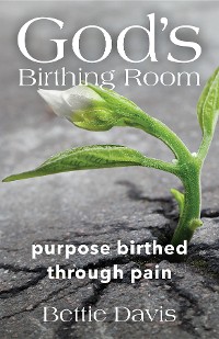 Cover God's Birthing Room
