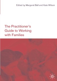 Cover Practitioner's Guide to Working with Families