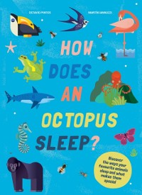 Cover How Does An Octopus Sleep?