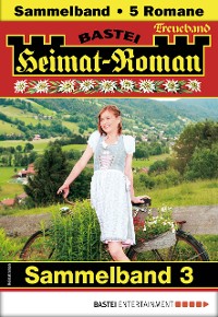 Cover Heimat-Roman Treueband 3