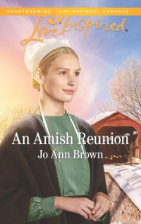 Cover Amish Reunion
