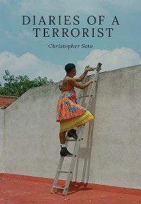 Cover Diaries of a Terrorist