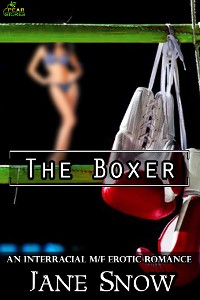 Cover The Boxer