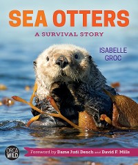 Cover Sea Otters