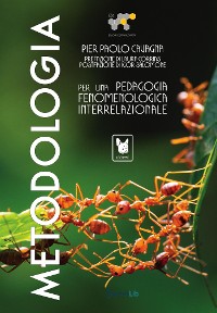 Cover Metodologia per una pedagogia fenomenologica interrelazionale