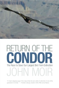 Cover Return of the Condor