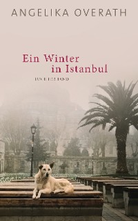Cover Ein Winter in Istanbul