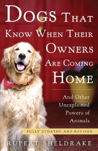 Cover Dogs That Know When Their Owners Are Coming Home
