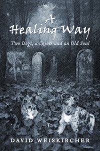 Cover Healing Way