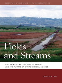 Cover Fields and Streams