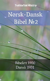 Cover Norsk-Dansk Bibel №2