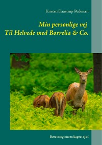 Cover Min personlige vej  Til Helvede med Borrelia & Co.