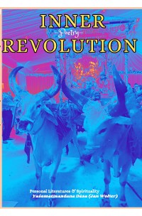 Cover Inner Revolution