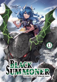 Cover Black Summoner: Volume 13