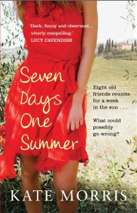 Cover Seven Days One Summer