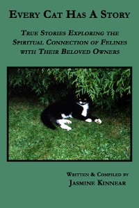 Cover Every Cat Has A Story: True Stories Exploring the Spiritual Connection of Felines with Their Beloved Owners