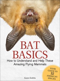 Cover Bat Basics