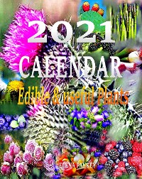 Cover Calendar  2021