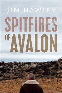 Cover Spitfires of Avalon