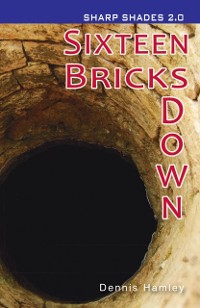 Cover Sixteen Bricks Down  (Sharp Shades 2.0) (ebook)