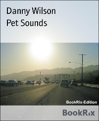 Cover Pet Sounds