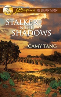 Cover Stalker in the Shadows
